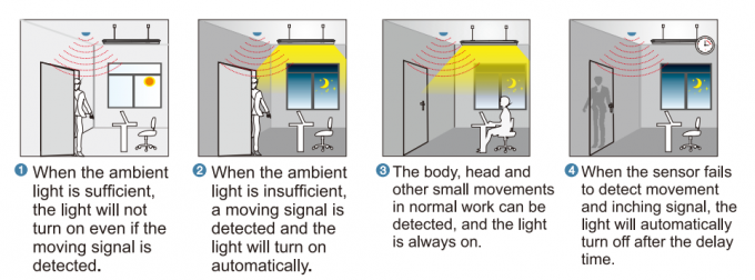 Stand Alone 277VAC Minor Motion Sensor With Daylight Harvesting