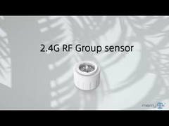 2.4G Wireless Networking Controller Suitable For Slim LED Fixtures Long Lifetime
