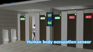 Human body occupation sensor