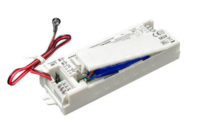 3W 1-hour LiFePO4 Battery LED Emergency Backup Driver Auto Testing And Self-testing Optional With 5 Years Warranty